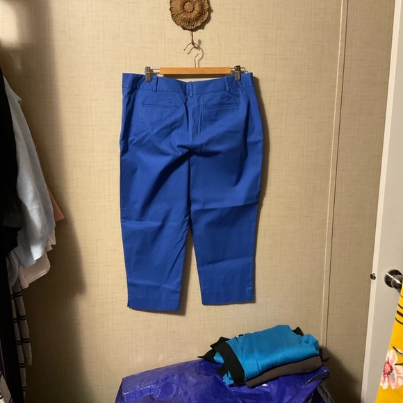 Talbots Royal Blue Pants - Picture 2 of 5